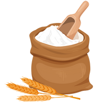 Whole Wheat flour