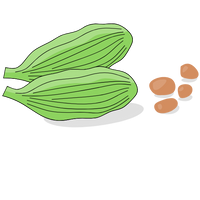 Elaichi Powder